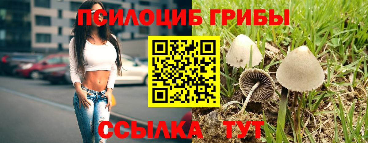 купить   Вход с VPN  Галлюциногенные грибы MAGIC MUSHROOMS  Радужный  Псилоцибиновые грибы MAGIC MUSHROOMS 